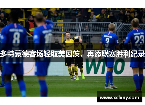 多特蒙德客场轻取美因茨，再添联赛胜利纪录