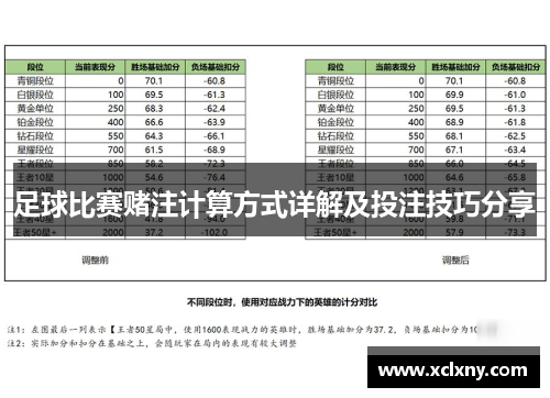 足球比赛赌注计算方式详解及投注技巧分享