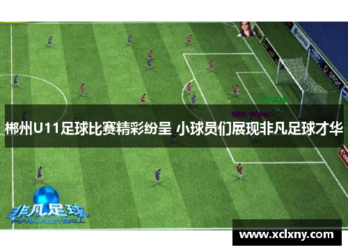 郴州U11足球比赛精彩纷呈 小球员们展现非凡足球才华