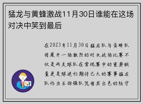 猛龙与黄蜂激战11月30日谁能在这场对决中笑到最后