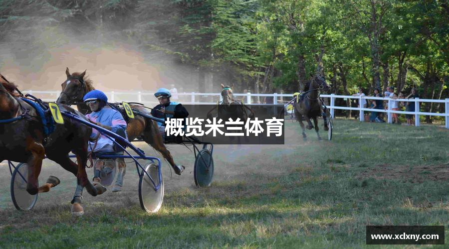 概览米兰体育